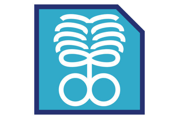 Xray Image Color Icon. Medical Bone Diag Graphics